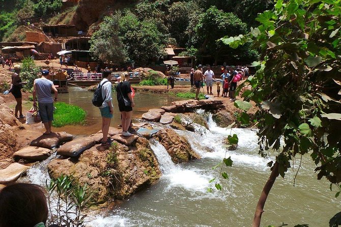 Marrakech: Ouzoud Waterfalls Day Trip & Optional Boat Ride - Booking Details