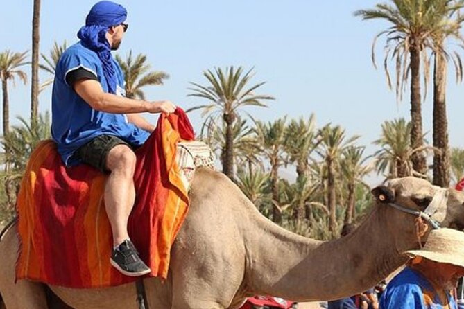 Marrakech Palmeraie Tour With 1 Hour Camel Ride - Cultural Insights