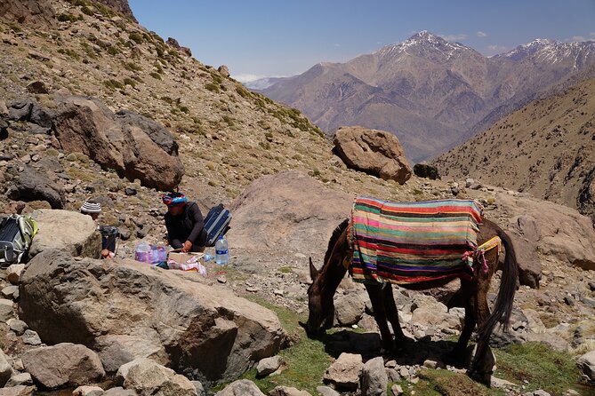 Marrakesh Full Day Agafay Desert, Atlas Mountain Camel Ride Tour - Frequently Asked Questions