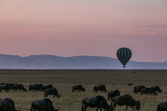 Masai Mara 3 Days 2 Nights - Accommodation Details