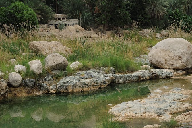 Mascat: Swimming in Oman Wadis - Requirements