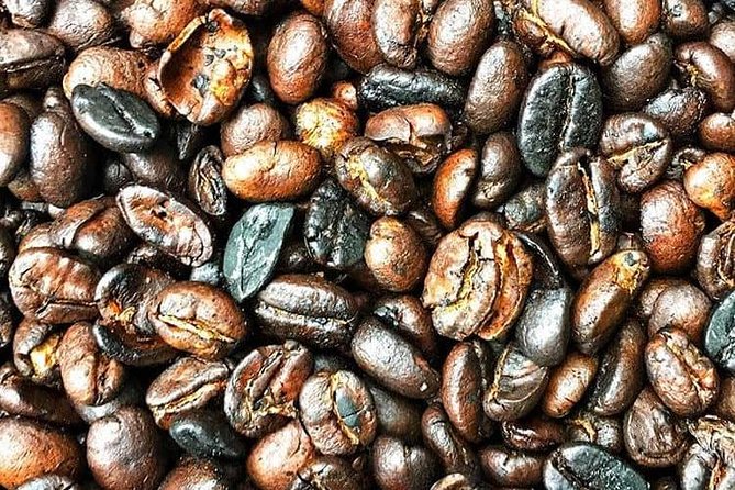 Materuni Waterfalls & Coffee Tour - Participant Limit