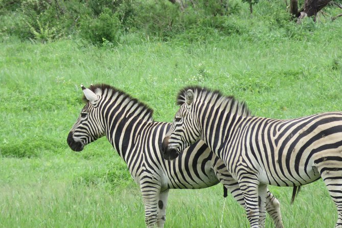 Matopos to Hwange National Park & Victoria Falls Drop Off! - Booking Details