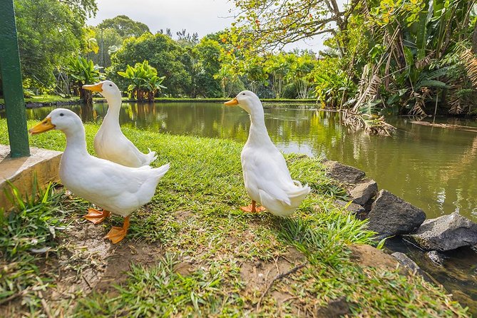 Mauritius Private North Tour (Slightseeing) - Booking Process