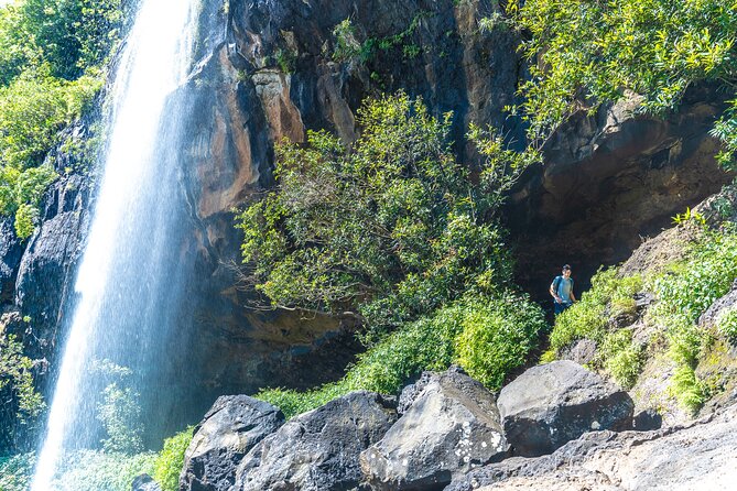 Mauritius:Iconic Hike Tamarind Falls by Best Local Guide +Pic Nic - Picnic Inclusions