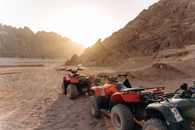 Mega Safari Quad & Spider Car Ride in Hurghada - Cancellation Policy