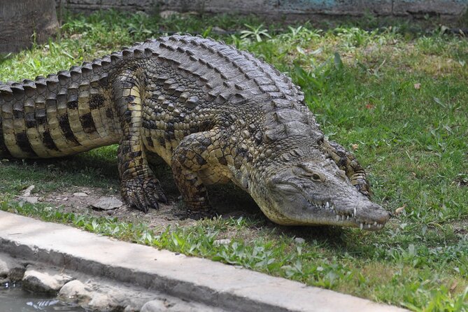 Melaka Zoo & Crocodile Park Tour From Kuala Lumpur With Lunch - Booking Confirmation