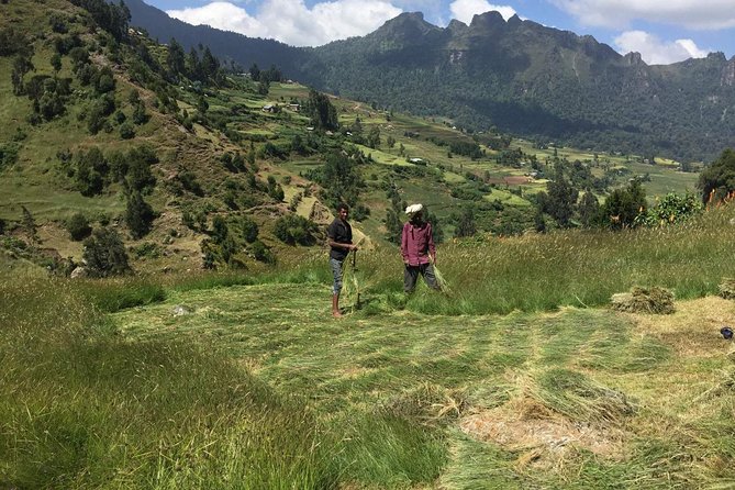 Menz Guassa Trekking 5 Days Tour Package - Meeting and Pickup Details