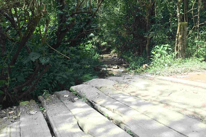 Minca Full Day Tour From Santa Marta