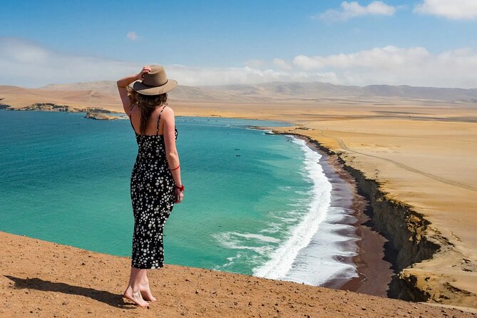 Mini Buggy in Paracas National Reserve - Safety and Health Considerations