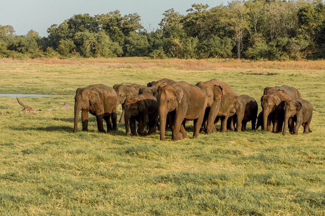 Minneriya National Park Entrance Ticket - Location Overview