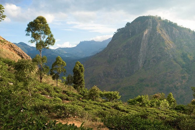 Misty Mountain Trails From Hikkaduwa (2 Days) - The Sum Up