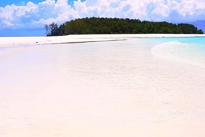 Mnemba Dolphin Tour, Island Pongwe, Kuza Cave, Paje Beach, The Rock Restaurant - Additional Tour Information