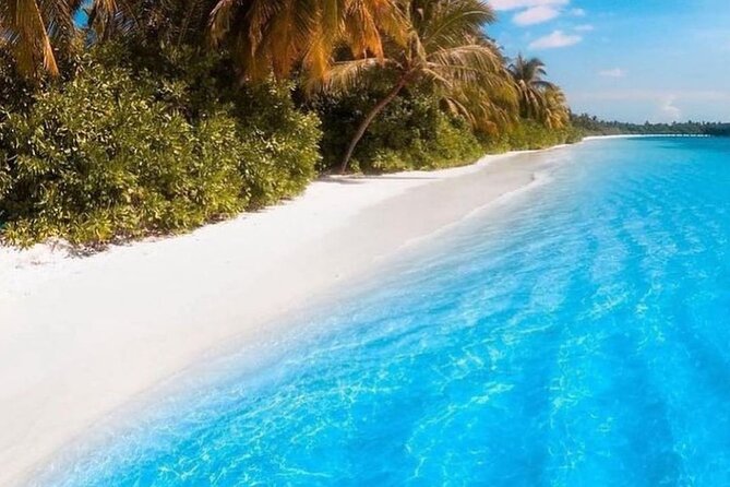 Mnemba Island Tour; Kuza Cave Tour; Paje Beach; The Rock Restaurant Zanzibar - Schedule and Accessibility