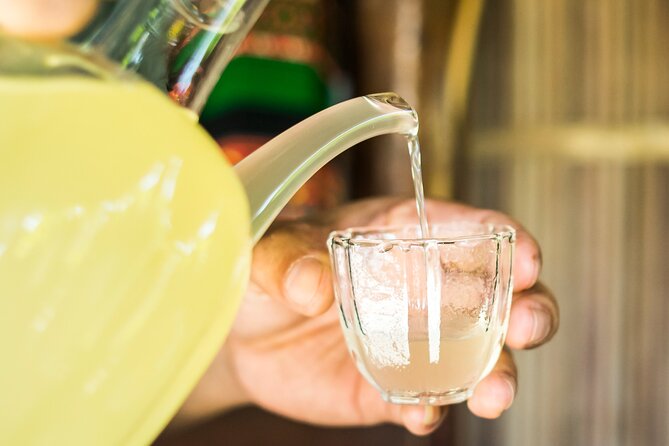 Modern Culinary Experience in Hoi An - Homemade Alcohol Tasting Option