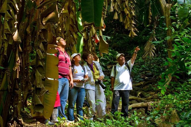 Mombacho Volcano, Cloud Forest - Cancellation Policy