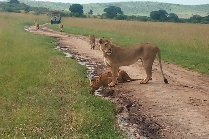 Mombasa and Diani Beaches Day Trips to Tsavo Park - Logistics