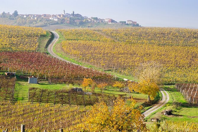 Monferrato Di Nizza Private E-Bike Tour - Asphalt and Dirt Road - Meeting Point and Start Time