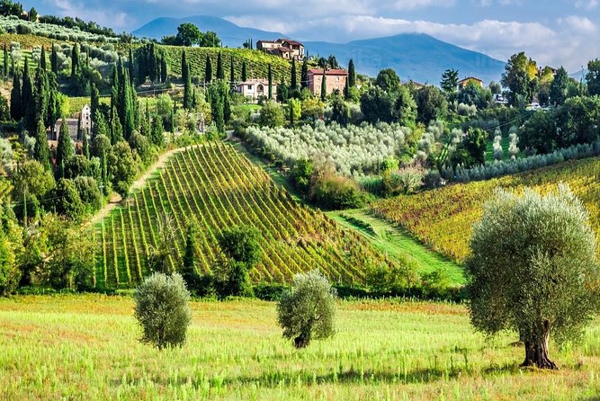 Montalcino and Pienza Tuscany Wine&Cheese Fullday From Rome - Transportation Details