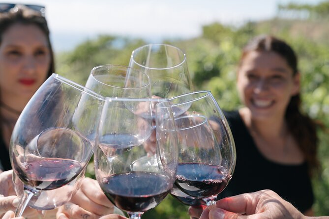 Montserrat Full Day Tour With Wine Gourmet Lunch - Booking Information