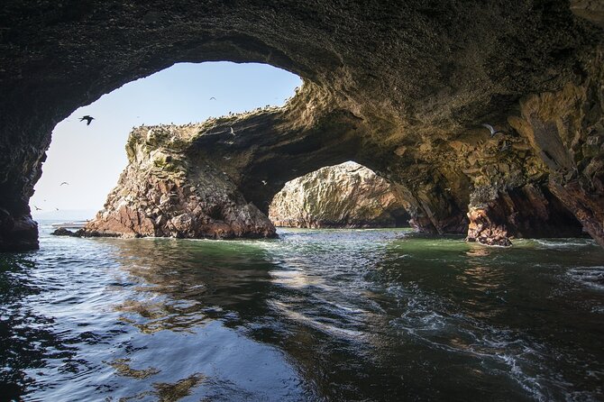 Morning: Palomino Island Tour - Tour Directions
