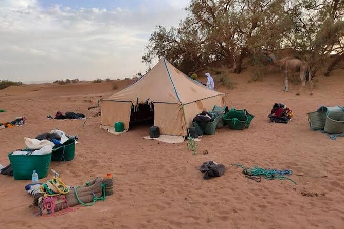 Moroccan Desert : Expenrience Wild Camp MHamid - Booking