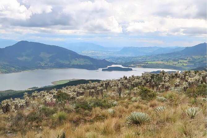 Motorbike Tour Across the Andes Mountains From Bogota - Itinerary Highlights