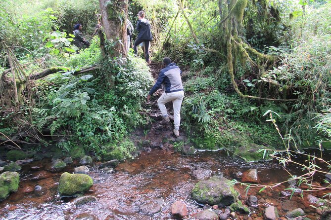 Mount Bisoke Hiking Adventure From Kigali - Booking Process