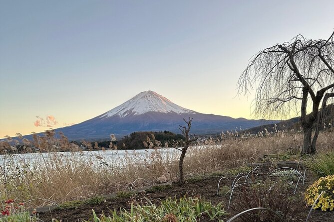 Mount Fuji Private Custom Day Trip With English Speaking Driver - Cancellation Policy