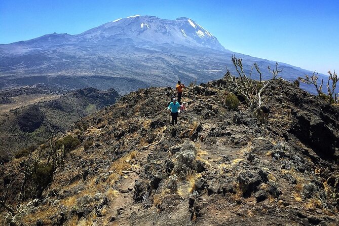 Mount Kenya National Park Full-Day Hike - Additional Information