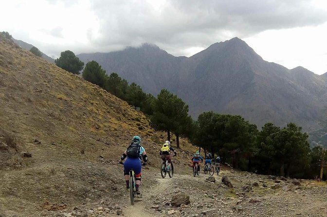 Mountain Bike Day Trip in Imlil - Activity Overview