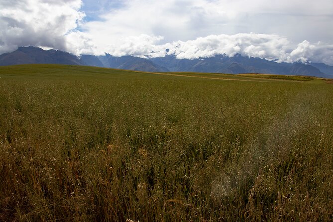 Mountain Biking Tour Sacred Valley 1 Day - Pricing and Group Size Options
