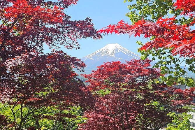 Mt. Fuji Private Tour by Car With English Guide - Frequently Asked Questions