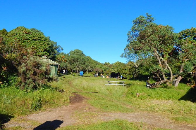 Mt Kilimanjaro Climbing – 7 Days Machame Route - Cultural Insights