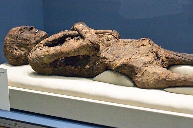 Mummification Museum Entry Ticket - What to Expect