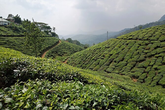 Munnar 3-Day Private Sightseeing Tour From Madurai - Entrance Fees Included