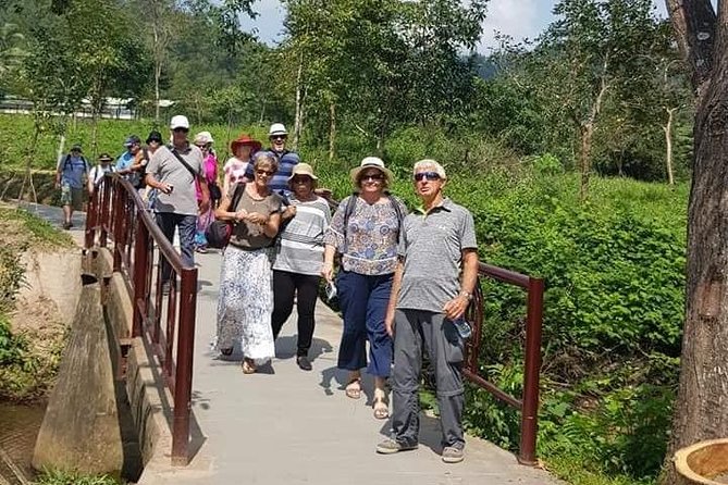 My Son Morning Private Guided Tour - Price and Booking