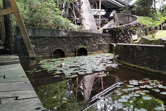 Mysterious Ulen Sentalu Museum & Incredible View Trekking Selogriyo Temple - Cancellation Policy and Price