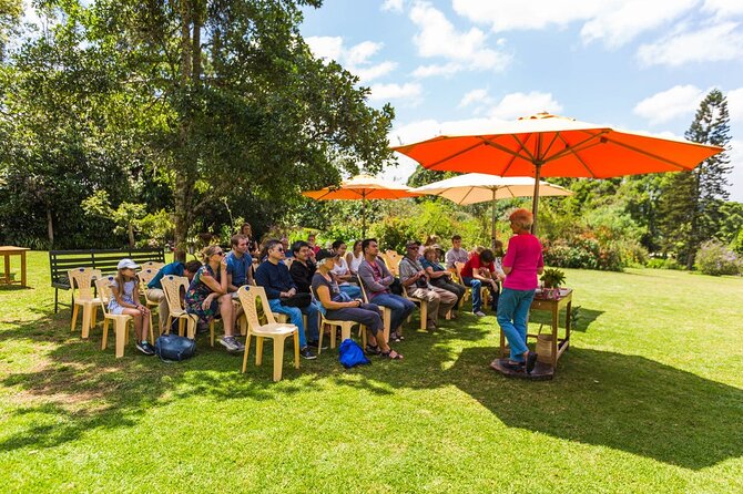 Nairobi to Kiambethu Tea Farm Tour - Special Offer Details