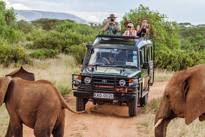Nairobis Wild Heart: A Safari & Heritage Quest - Important Reminders