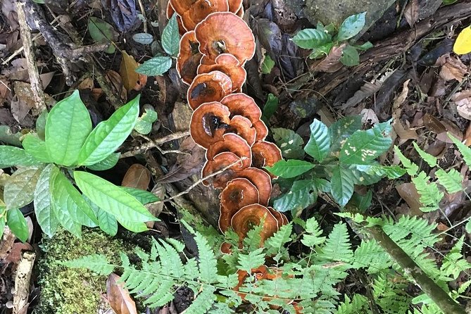 Nam Cat Tien National Park 2 Days 1 Night - Pickup Details