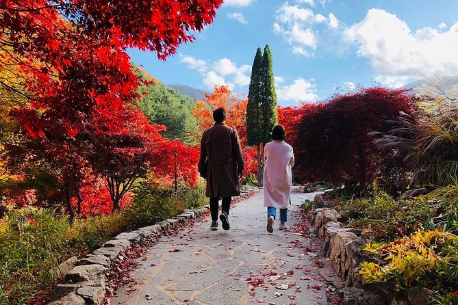 Nami Island+Alpaca+Gapyeong Rail Bike+Garden of Morning Calm - Recommendations and Praises