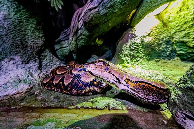 National Aquarium Abu Dhabi Admission Tickets - Cancellation Policy Details