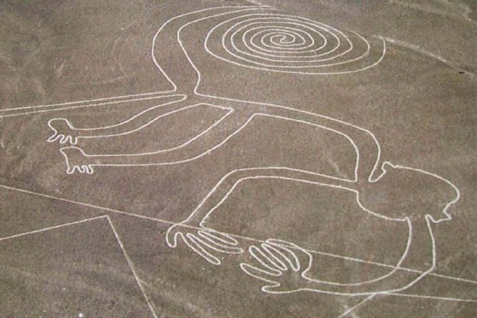 Nazca Bus Station Private Transfer - Cancellation Policy