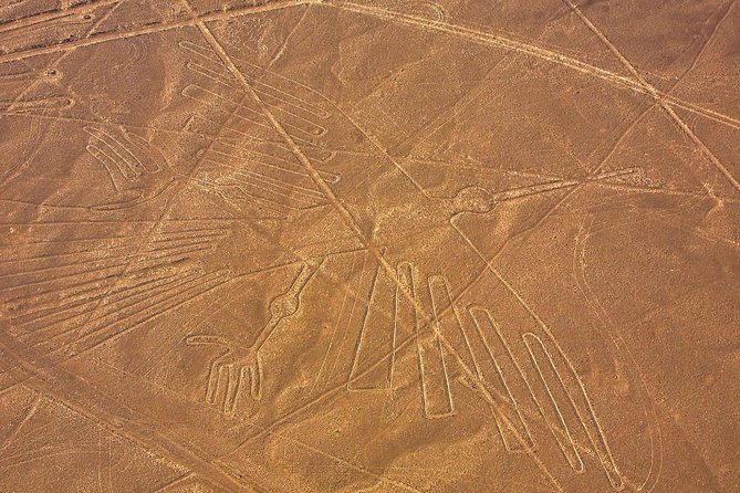 Nazca Lines Royal Tour - Inclusions and Amenities
