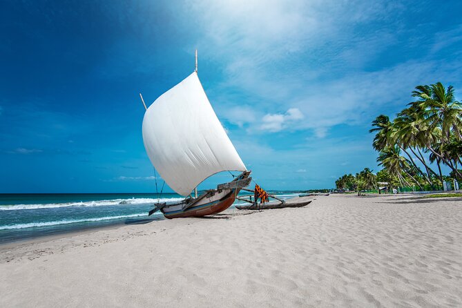 Negombo City Tuk Tuk Safari - Directions and Tips