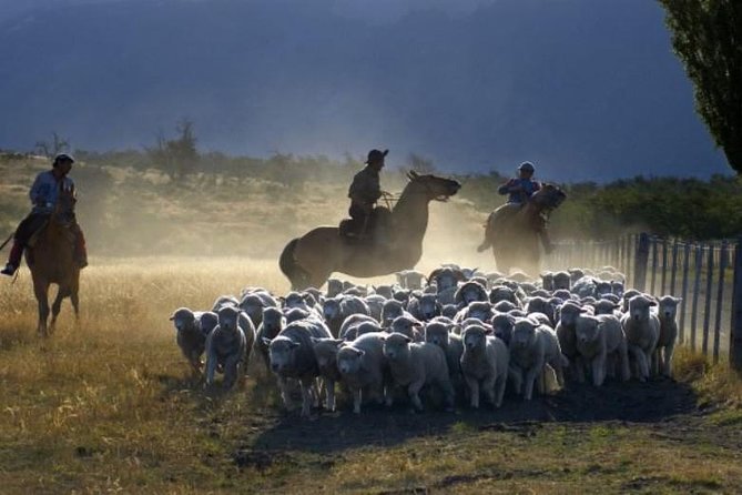 Nibepo Aike Ranch With Horseback Riding - El Calafate - Inclusions and Pickup Details