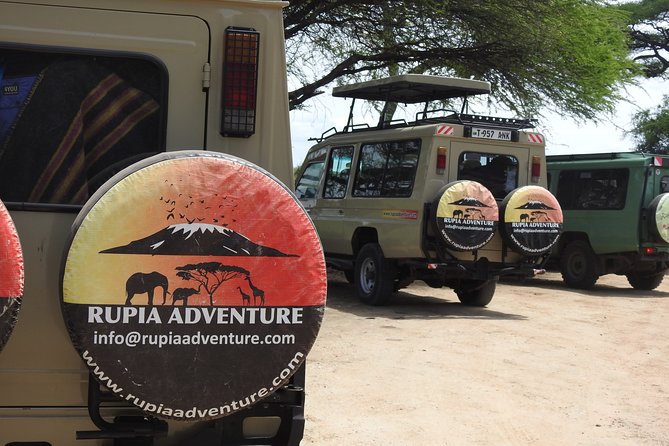 Night Game Tour In Lake Manyara National Park - Meeting and Pickup Information