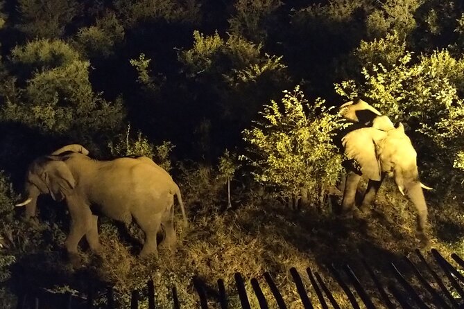 Night Safari Drive With 4x4 Around Vic Falls - Location Details