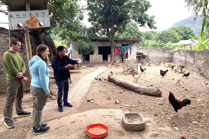 Ninh Binh Full-Day Tour From HANOI (Group of 9 With Best Care) - Activities Included